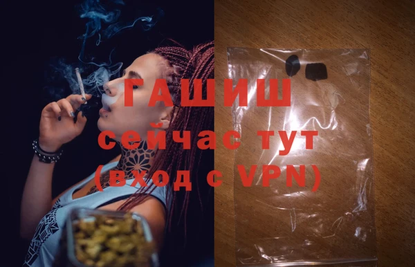 тгк Абаза
