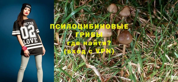 тгк Абаза